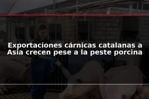 Exportaciones cárnicas catalanas a Asia crecen pese a la peste porcina