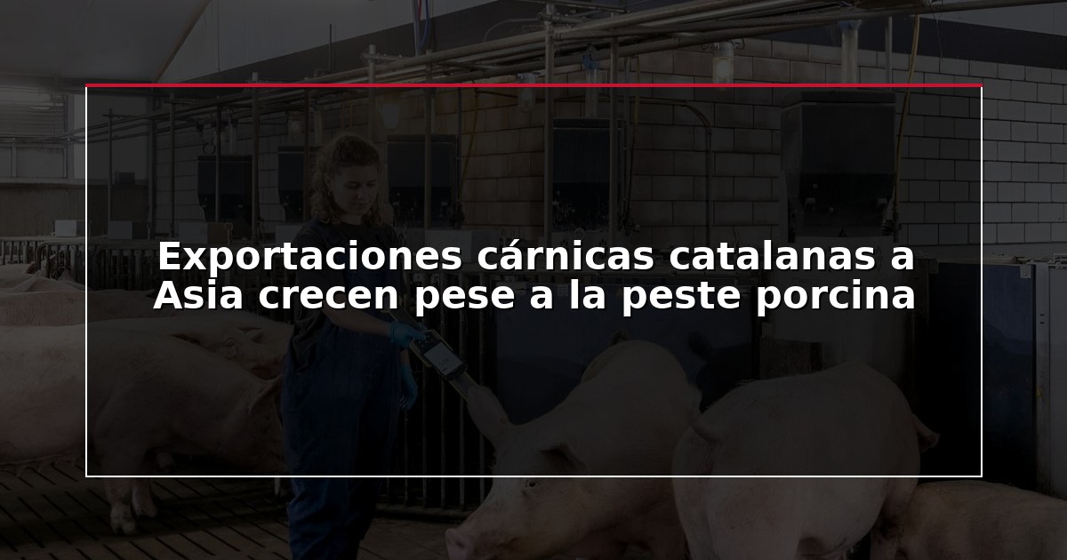 Exportaciones cárnicas catalanas a Asia crecen pese a la peste porcina