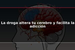 La droga altera tu cerebro y facilita la adicción