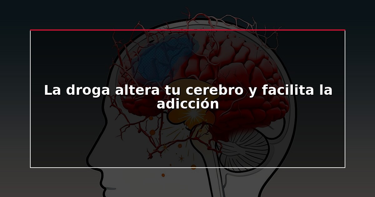 La droga altera tu cerebro y facilita la adicción
