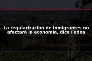 La regularización de inmigrantes no afectará la economía, dice Fedea