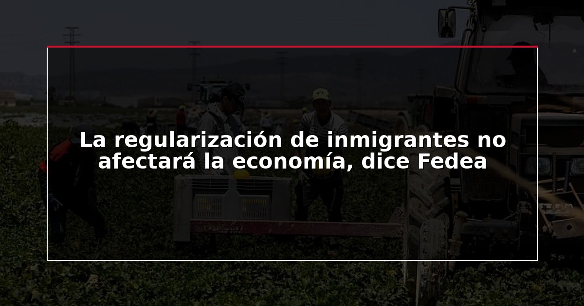 La regularización de inmigrantes no afectará la economía, dice Fedea