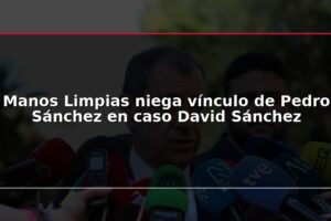 Manos Limpias niega vínculo de Pedro Sánchez en caso David Sánchez