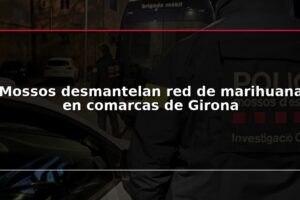 Mossos desmantelan red de marihuana en comarcas de Girona