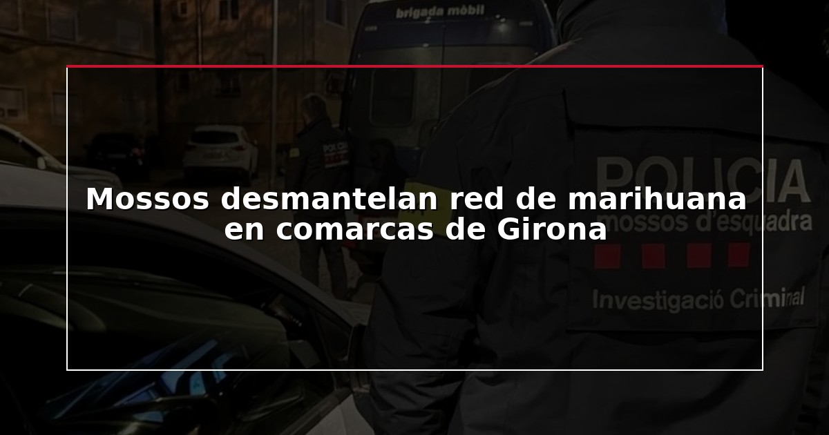 Mossos desmantelan red de marihuana en comarcas de Girona