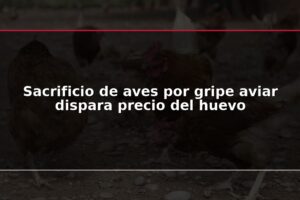 Sacrificio de aves por gripe aviar dispara precio del huevo