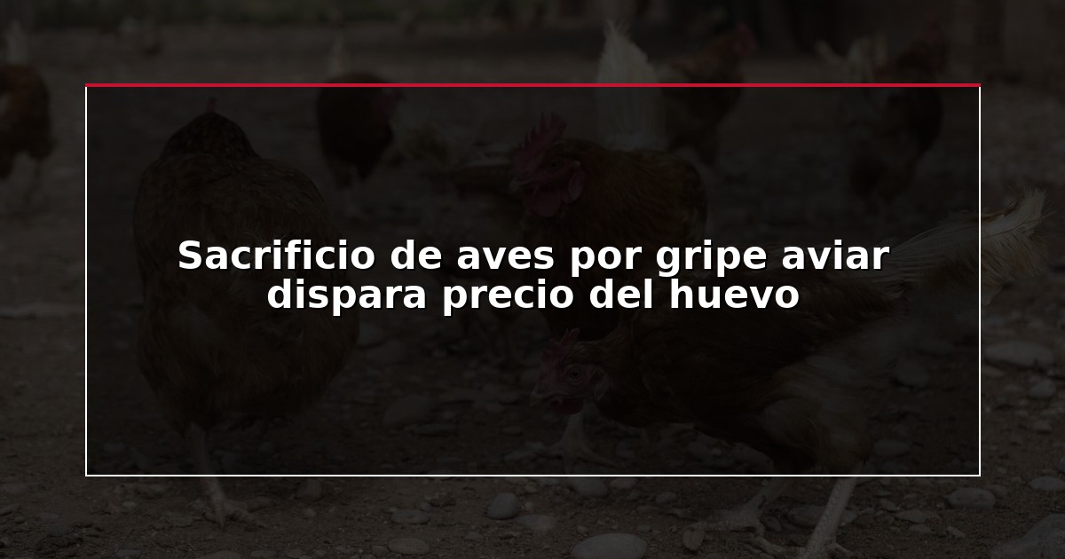 Sacrificio de aves por gripe aviar dispara precio del huevo