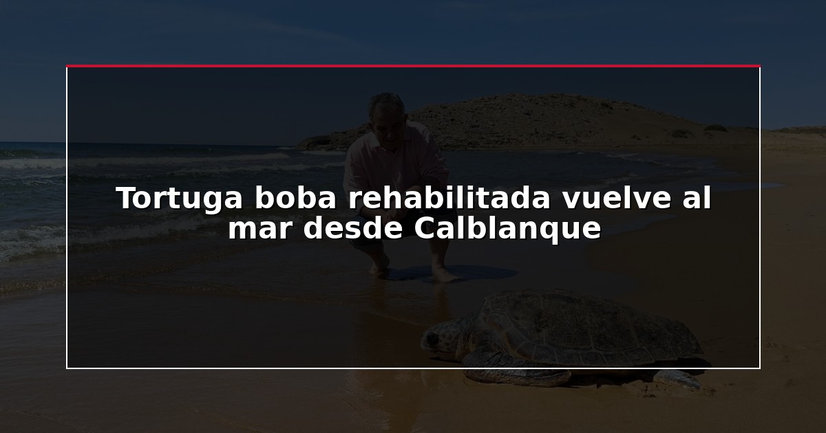 Tortuga boba rehabilitada vuelve al mar desde Calblanque