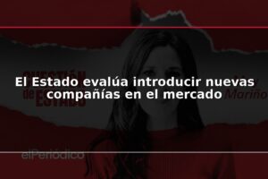 El Estado evalúa introducir nuevas compañías en el mercado