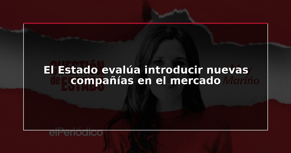 El Estado evalúa introducir nuevas compañías en el mercado