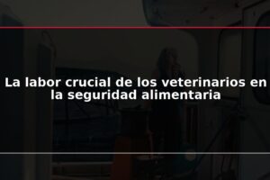 La labor crucial de los veterinarios en la seguridad alimentaria