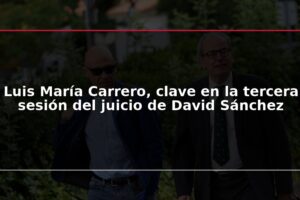 Luis María Carrero, clave en la tercera sesión del juicio de David Sánchez