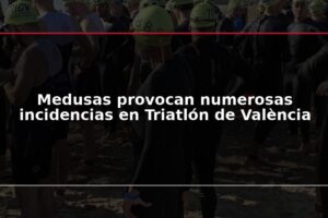 Medusas provocan numerosas incidencias en Triatlón de València