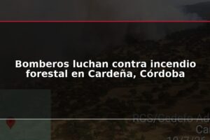 Bomberos luchan contra incendio forestal en Cardeña, Córdoba