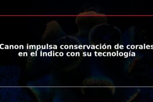 Canon impulsa conservación de corales en el Índico con su tecnología