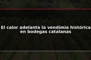 El calor adelanta la vendimia histórica en bodegas catalanas