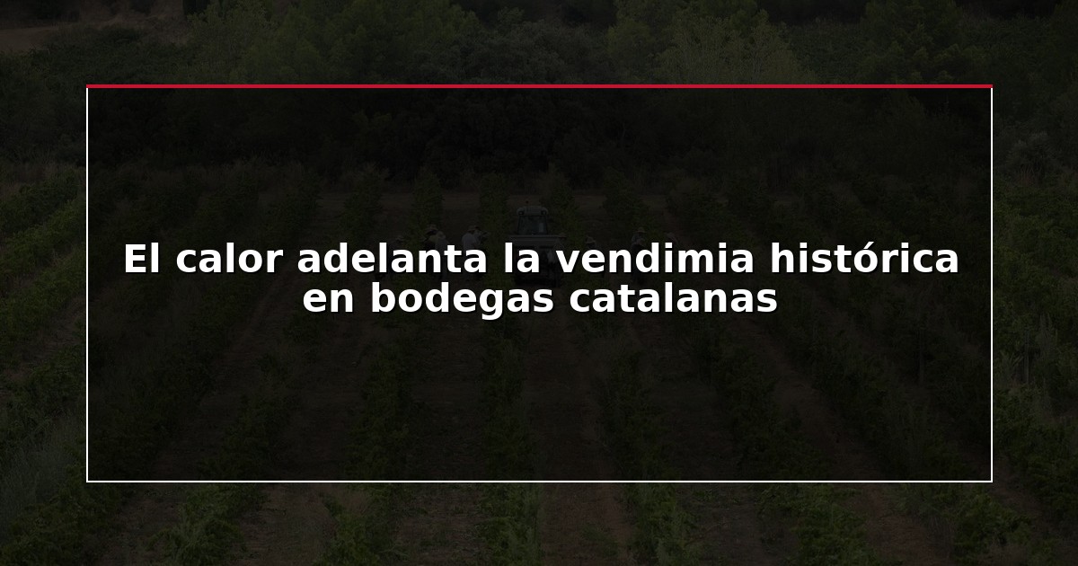 El calor adelanta la vendimia histórica en bodegas catalanas