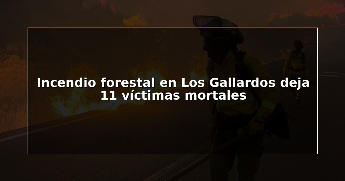 Incendio forestal en Los Gallardos deja 11 víctimas mortales