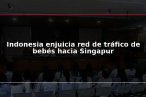 Indonesia enjuicia red de tráfico de bebés hacia Singapur