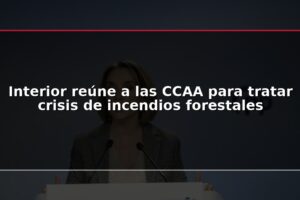 Interior reúne a las CCAA para tratar crisis de incendios forestales