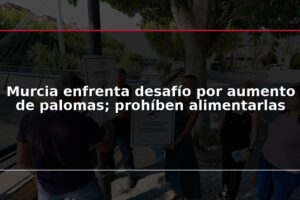 Murcia enfrenta desafío por aumento de palomas; prohíben alimentarlas