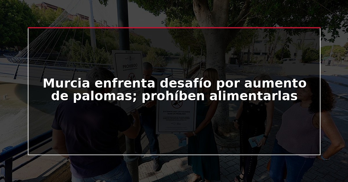 Murcia enfrenta desafío por aumento de palomas; prohíben alimentarlas