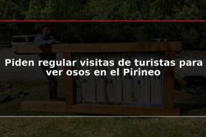 Piden regular visitas de turistas para ver osos en el Pirineo