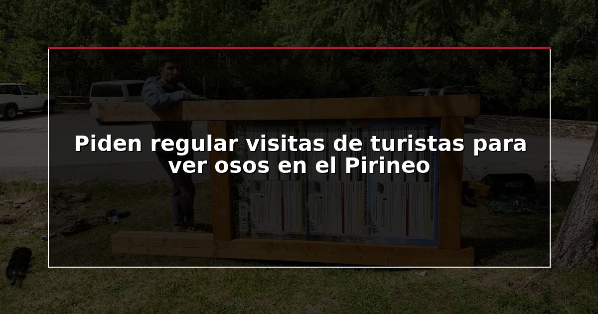 Piden regular visitas de turistas para ver osos en el Pirineo
