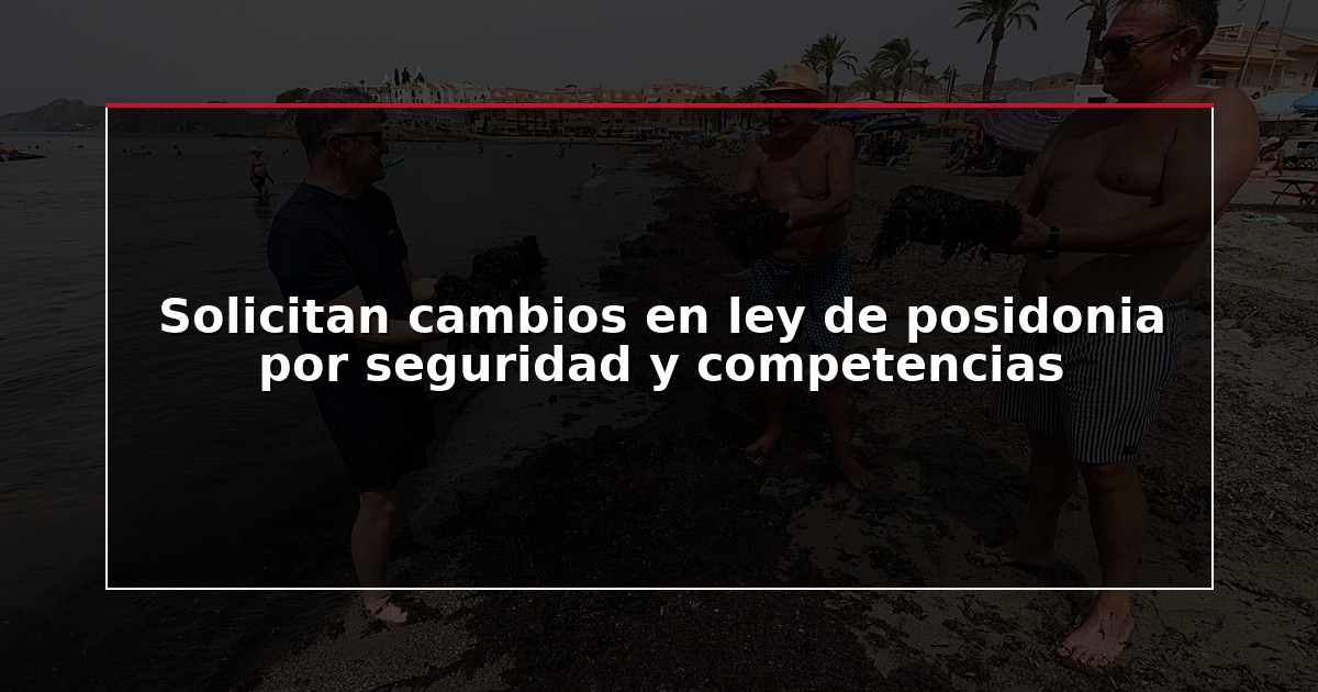 Solicitan cambios en ley de posidonia por seguridad y competencias