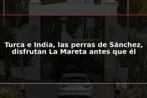 Turca e India, las perras de Sánchez, disfrutan La Mareta antes que él