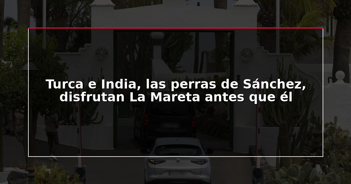 Turca e India, las perras de Sánchez, disfrutan La Mareta antes que él