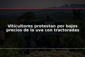 Viticultores protestan por bajos precios de la uva con tractoradas