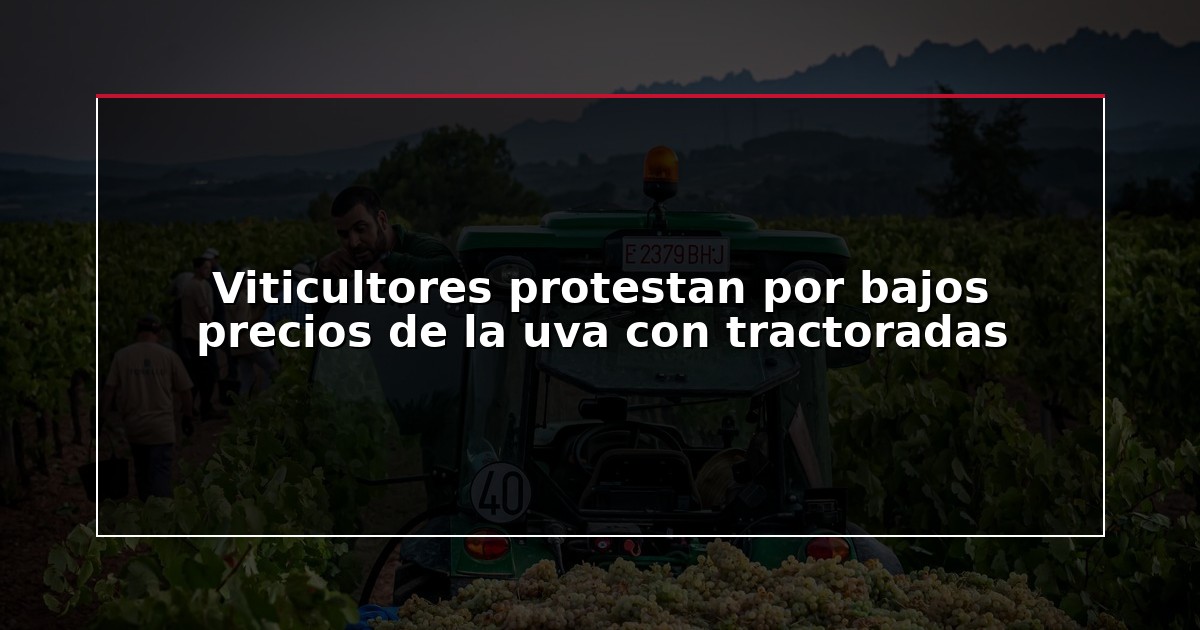 Viticultores protestan por bajos precios de la uva con tractoradas