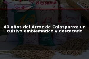40 años del Arroz de Calasparra: un cultivo emblemático y destacado