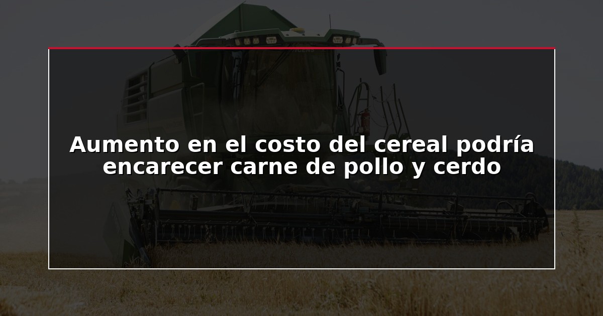 Aumento en el costo del cereal podría encarecer carne de pollo y cerdo