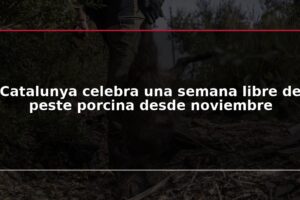 Catalunya celebra una semana libre de peste porcina desde noviembre