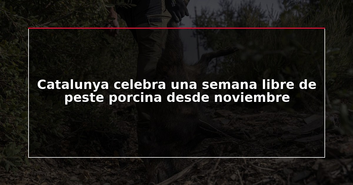 Catalunya celebra una semana libre de peste porcina desde noviembre
