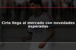 Ciria llega al mercado con novedades esperadas