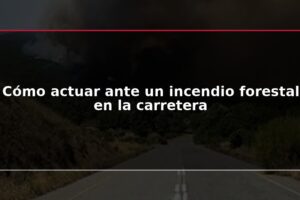 Cómo actuar ante un incendio forestal en la carretera