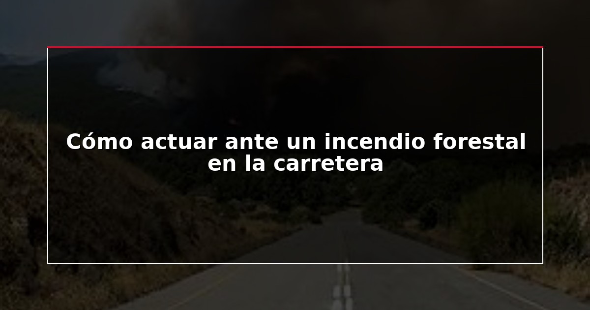 Cómo actuar ante un incendio forestal en la carretera
