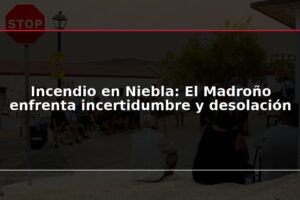 Incendio en Niebla: El Madroño enfrenta incertidumbre y desolación