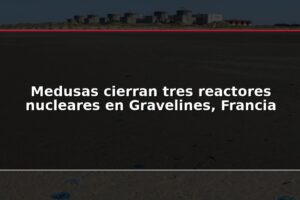 Medusas cierran tres reactores nucleares en Gravelines, Francia