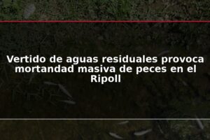 Vertido de aguas residuales provoca mortandad masiva de peces en el Ripoll