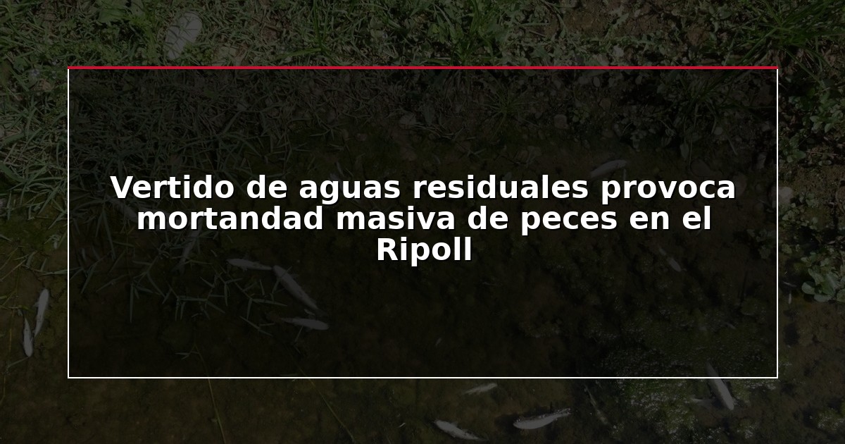 Vertido de aguas residuales provoca mortandad masiva de peces en el Ripoll