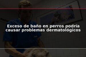 Exceso de baño en perros podría causar problemas dermatológicos