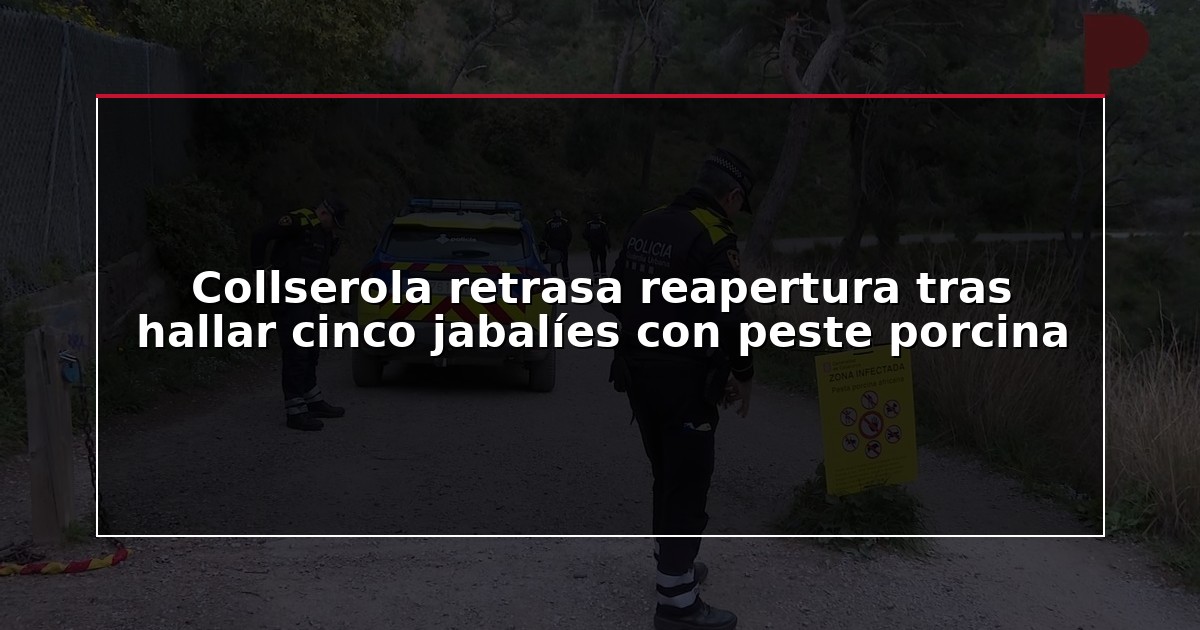 Collserola retrasa reapertura tras hallar cinco jabalíes con peste porcina