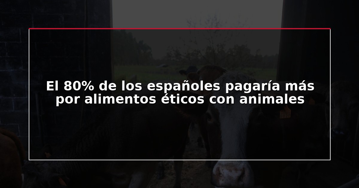 El 80% de los españoles pagaría más por alimentos éticos con animales