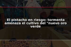 El pistacho en riesgo: tormenta amenaza el cultivo del "nuevo oro verde