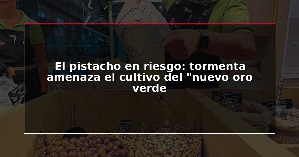 El pistacho en riesgo: tormenta amenaza el cultivo del “nuevo oro verde